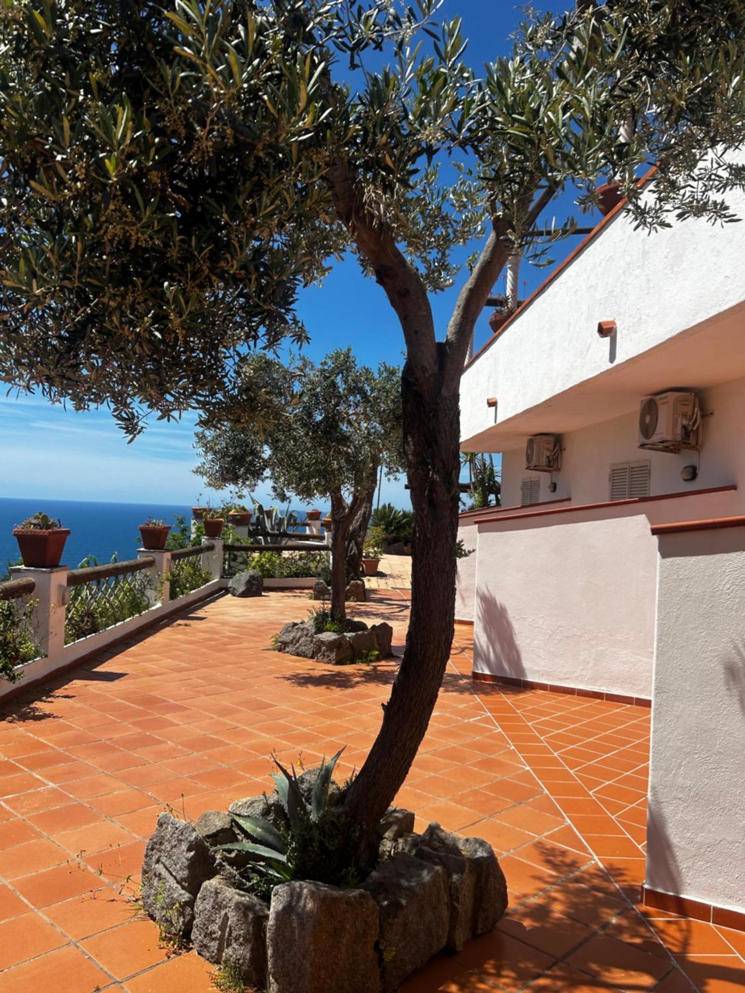 Hotel Punto Azzurro Forio di Ischia Екстериор снимка