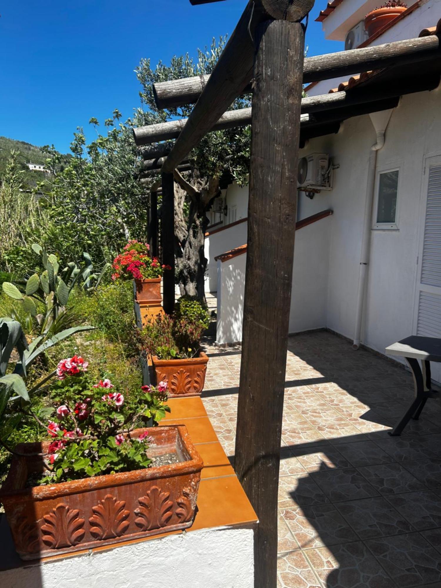 Hotel Punto Azzurro Forio di Ischia Екстериор снимка