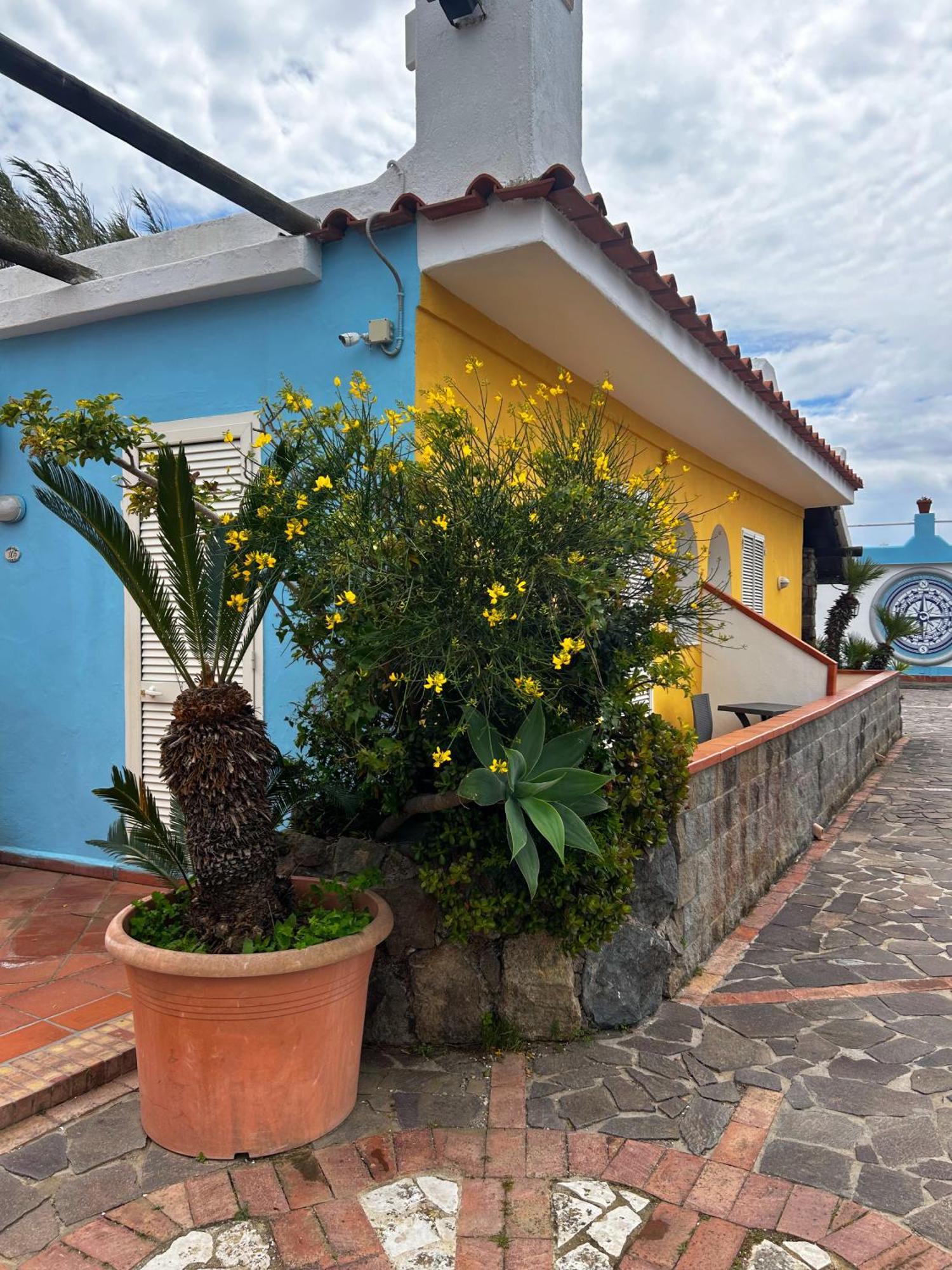 Hotel Punto Azzurro Forio di Ischia Екстериор снимка