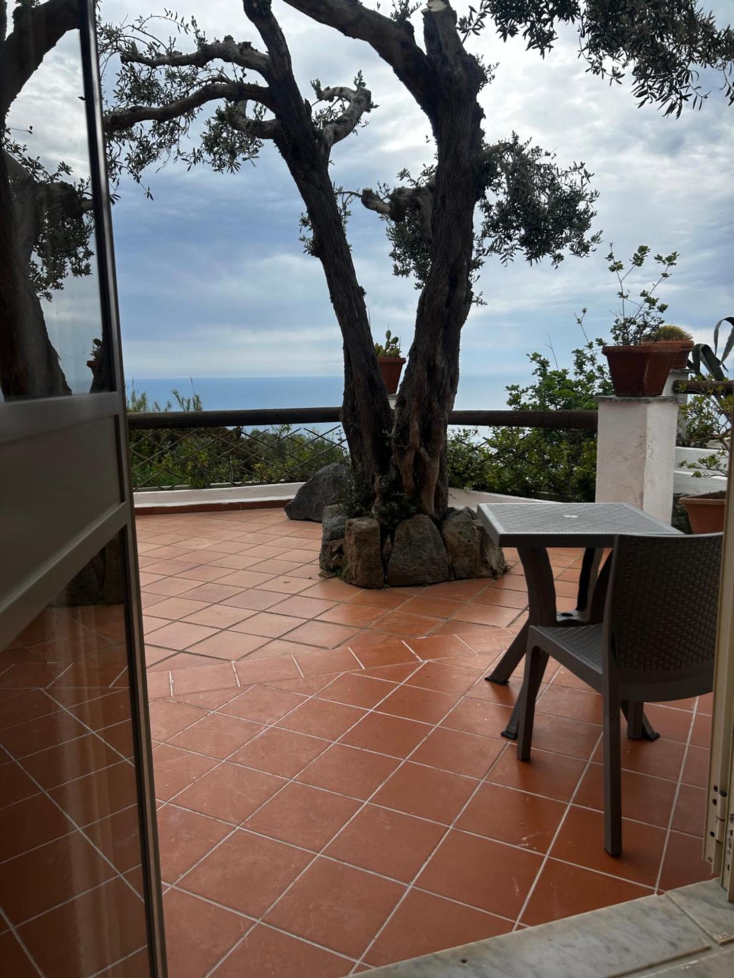 Hotel Punto Azzurro Forio di Ischia Екстериор снимка